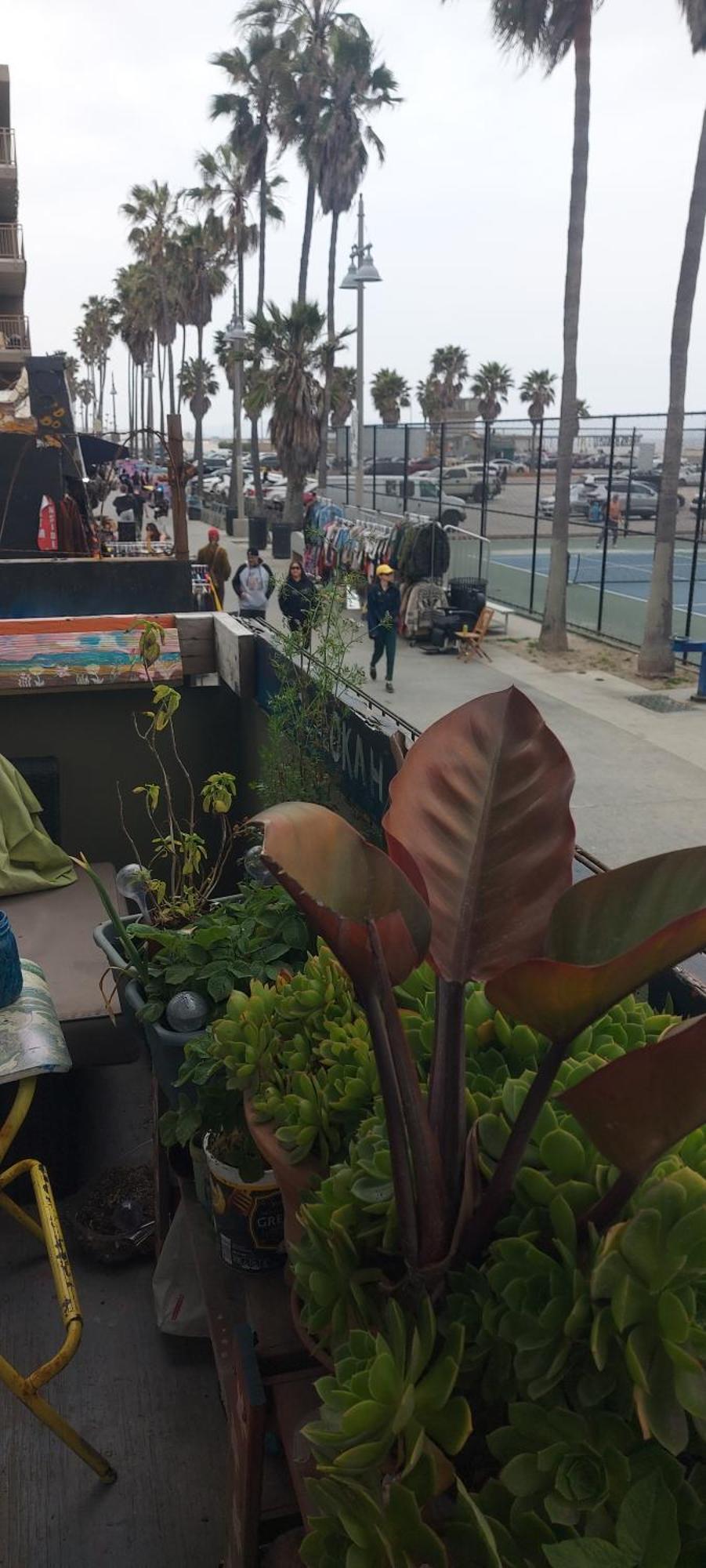 Ocean Front Vortex Female Hostel Private Rooms Free Bikes Los Angeles Luaran gambar